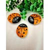Lady Bug Rock Get Well Gift, Ladybug Rock, Orang Painted