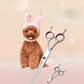 Pet Grooming Scissors 3-Piece Set: Thinning, Curved, and Cutting Shears for Small, Medium, and Long-Haired Dogs One Set