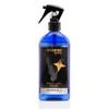 Vivishine Premium Spray 250ml Latex Shiner - for Latex Clothing
