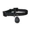 PetSafe Staywell Magnetic Collar & Key Pack
