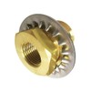 Legines Brass Pipe Fitting, Bulkhead Coupling Tank Fitting, 3/8" NPT