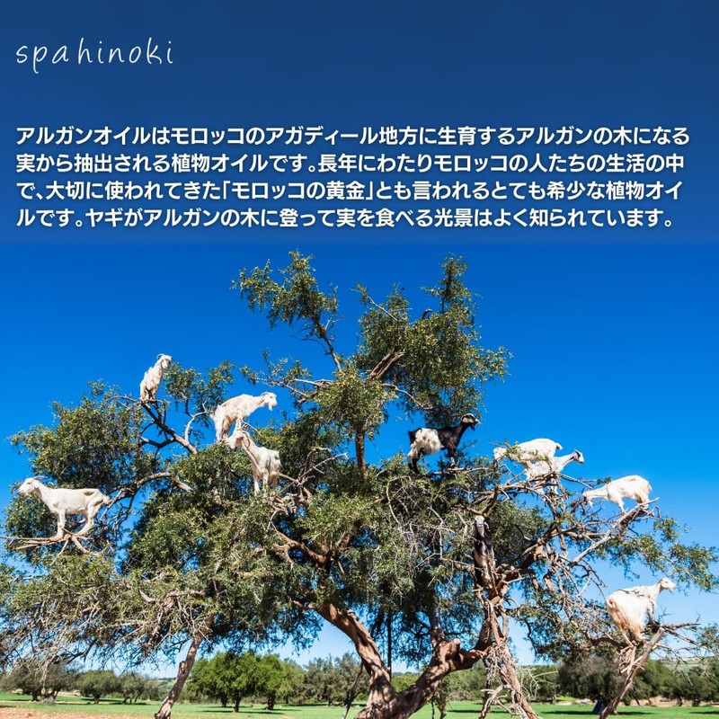 spa hinoki Organic Argan Oil, 8.8 fl oz (290 ml),