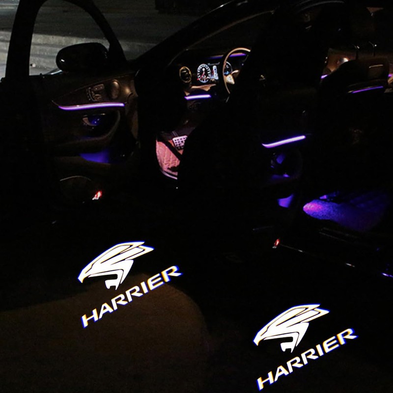 Courtesy Light, Door Welcome Light, Courtesy Lamp, Laser Logo Light,