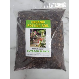 Tropical Plants of Florida Red Mandevilla Plant Live Hanging Basket - 12" Basket - Overall Size 14" Wide by 18" (Plant + Fertilizer + Soil + Heat Pack)