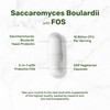 Saccharomyces Boulardii Probiotics + FOS Supplement, 10 Billion CFU, 240
