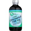 World Organic 100mg Liquid Chlorophyll - 16 Oz EXP 4/24
