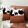 HYOPUO Set of 2 Faux Fur Throw Pillow Covers with