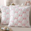 EMEMA Easter Pillow Covers 18x18 Inch Set of 2 Pink