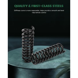 SCITOO 2Pcs Rear Suspension Coil Spring Set Fits 2005 2006 2007 2008 2009 2010 for Chrysler 300 with 81127 4895322AC Coil Springs