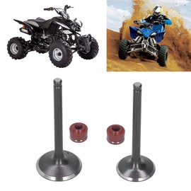 automotive engine, Engine Head Intake Exhaust Valve Steam Seals -cylinder-head Replacement Fit for YINXIANG YX 140cc Engine PIT PRO PIT Bike Trail Dirt Bike Thumpstar Quad ATV Go Kart Dune