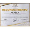 Agalea | Collar Corbatero con Dije de Nudo de Bruja