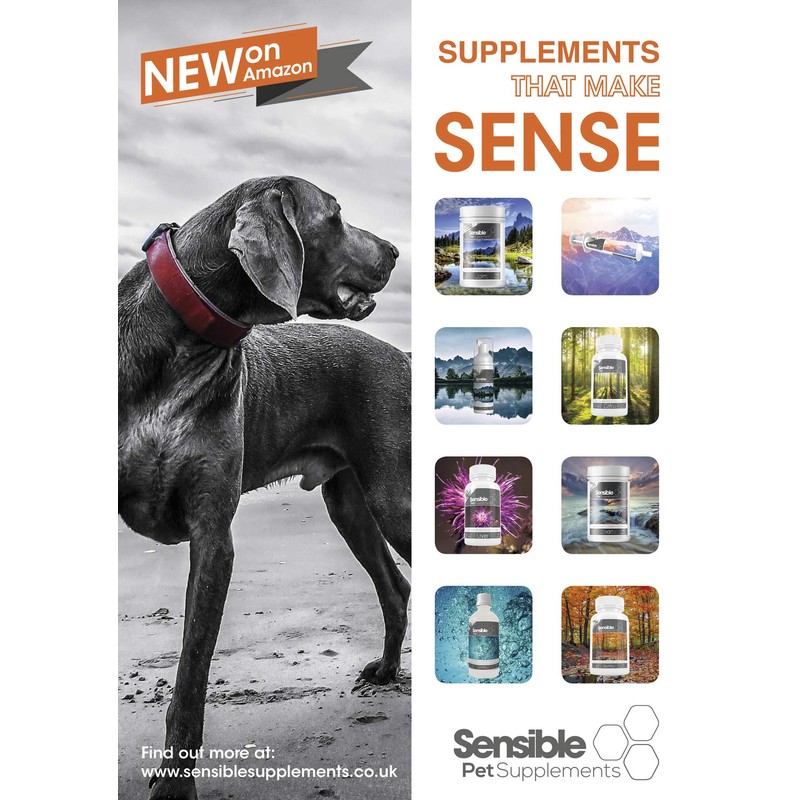 Sensible Pet Supplements 'Bladder'. Urinary support supplement for cats. Containing