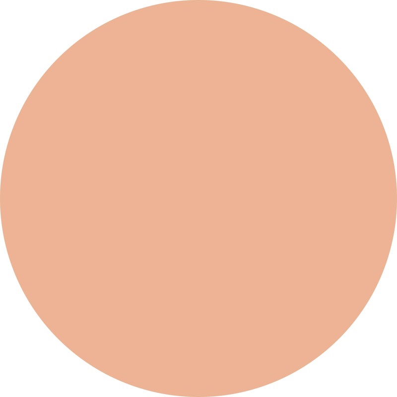 WYCON cosmetics Shading Stick Concealer Concealer Concealer, Versatile, Covers Dark