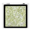 MAQUILLAGE GR154 Dramatic Eye Color (Powder), Kiwi Sugar Eyeshadow, Unscented,