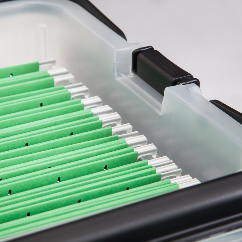 IRIS USA File Box File Organizer w/Wing Lid for Letter/Legal