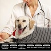 TQFlow Dog Recovery Suit, Pet Surgery Suits for Female Male,