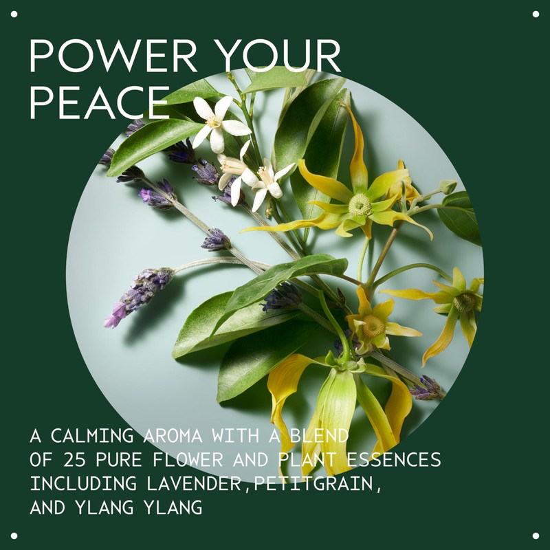 Aveda Shampure Nurturing Shampoo for Fine to Medium Hair |