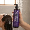 Shampoo Libre De Sulfatos Neutraliza Tonos Naranjas Xiomara