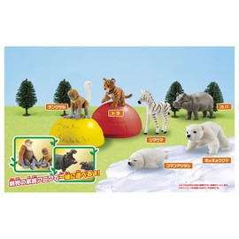 Ania Gachatto Korokoro Capsule 2 Box