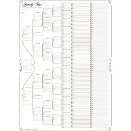 Family Tree Chart; Compact 8 Generation Pedigree Chart 120g Paper (Plain, Folded)