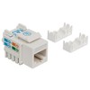 Jack Keystone Cat6 RJ45 UTP Blanco De Impacto 8P8C Para