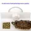 dancepandas Floating Platform Turtle 2 Pieces Acrylic Swimming Island Turtle