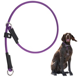 DISCPETSEC Slip Collar for Dog Show Collar Dog Training Collar - 30'' Slip Dog Collar Lightweight Adjustable Waterproof PVC Dog Slip Collar No Pull Dog Collar Purple Dog Collar Dog Slip Lead Collar