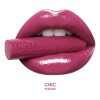 Brillo Labial Pink Up Super Glossy Gloss
