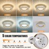 Badiegh Crystal Gold Flush Mount Ceiling Light Fixture,Dimmable LED 5CCT
