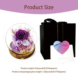 YNWYH Preserved Real Rose Flowers in Glass Dome with LED Lights,Real Rose Flowers Unique Floral Gift for Girlfriend Mom Wife Girlfriend on Christmas Birthday Anniversary (Aurora Purple)