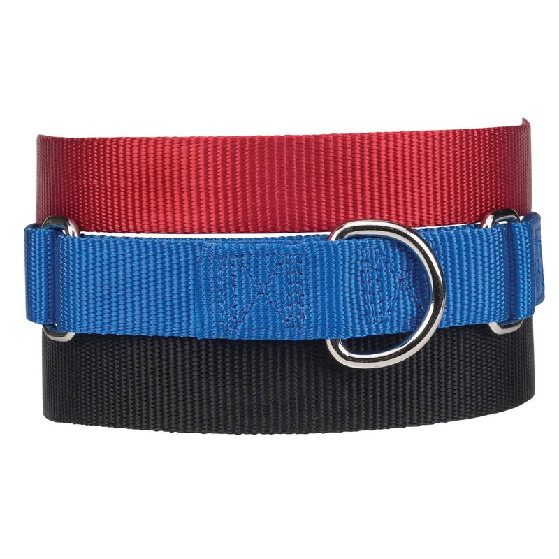 Guardian Gear Nylon Martingale Dog Collar, Fits Necks 14" to