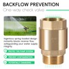 1 inch One-Way Brass Check valve for Well Pump, 1"