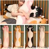 Aiuidun Long Cat Cuddly Toy, Stuffed Animals, Cat Plush Cushion,