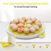 18 Egg Incubator,Automatic Turning,Egg Candler,Air Vent, Hatching Chicken Duck Quail