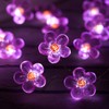 HDNICEZM Flower String Lights，Fairy Pink Cherry Blossom String Lights 21ft