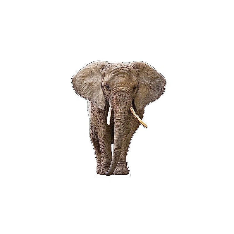 Life Size Cardboard Cutout Standup | Waterproof | Animals -