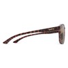 Smith Contour Sunglasses Matte Tortoise/ChromaPop Polarized Brown