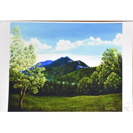 Grandfather Mountain North Carolina Swinging Bridge Limited-Editio