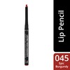 Lasting Finish Exaggerate Lip Liner 045