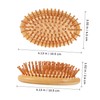 Baluue Scalp Massage Comb Hairbrush for Mens Combs for Hair