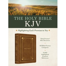 Holy Bible: KJV Highlighting God's Promises to You - Gold & Camel