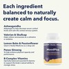 Maxion MoodPlus with Ashwagandha to Help Promote Relaxation and Reduce