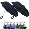 Parquet Purple and Blue Flower Double Layer Inverted Umbrellas -