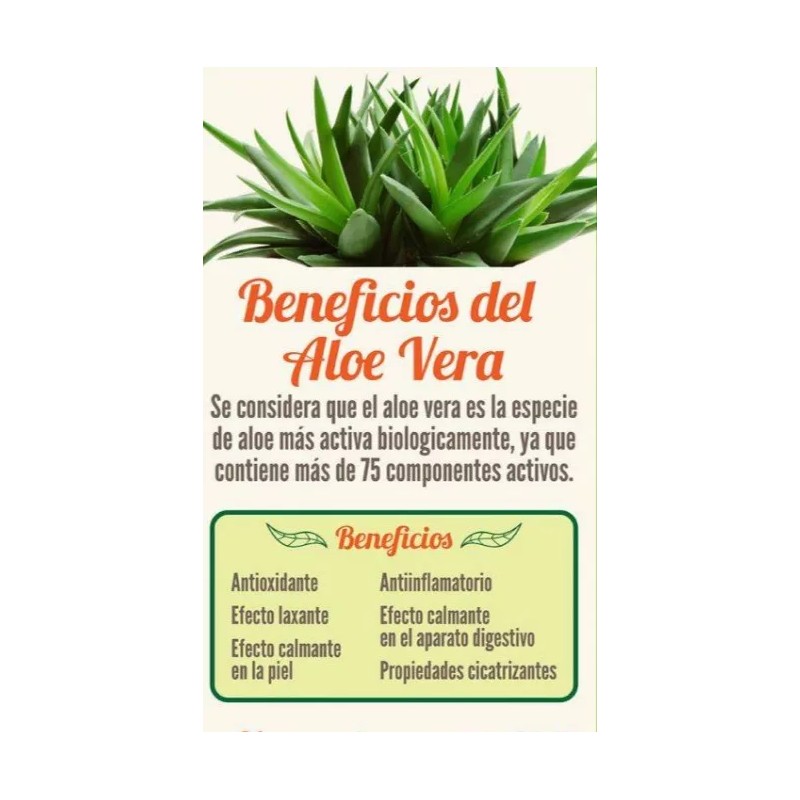aloe vera Gel De Aloe Vera, Mentol, Lidocaína. Calmante Y