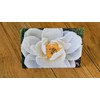 jenfotos Cool White Flower Note Card, blank with envelope