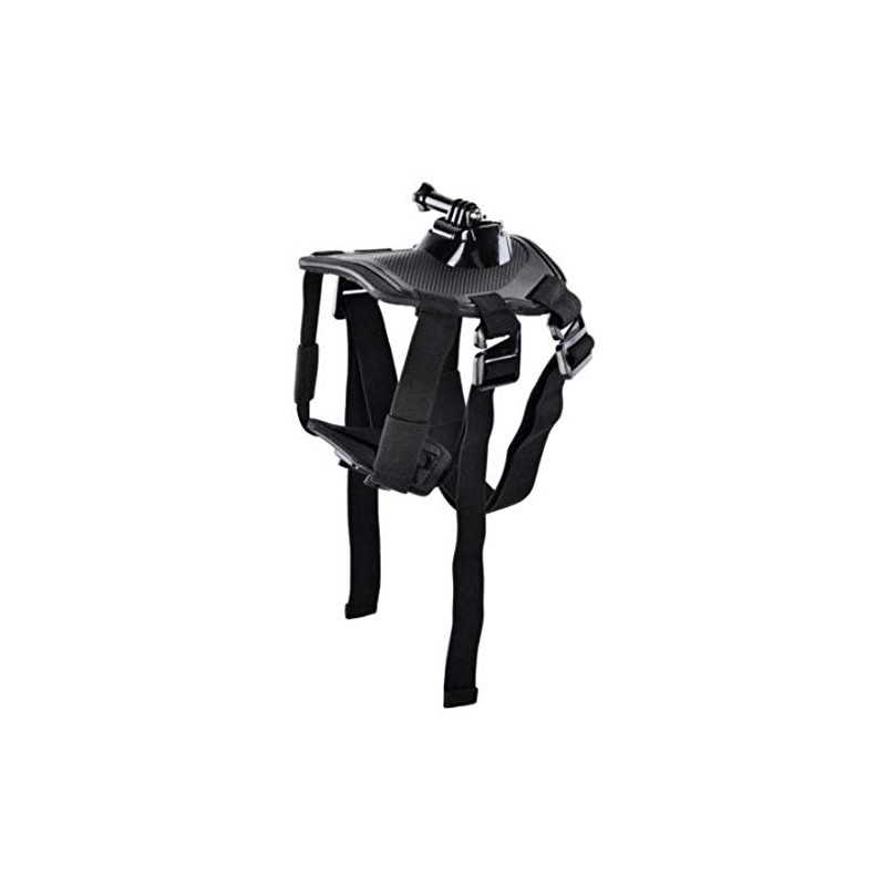 Dog Mount for GoPro