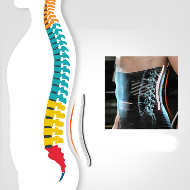 Gym Belt V Shaped Spine Support Squat Belts with 5