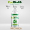 Probiotik | Probiotic Digestive Support with Multi Enzyme Probiotic, Digestive