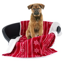 Celebright Christmas Pet Blanket, Luxury Plush Fleece Throw for Dogs, Cats or Puppies, 72cm x 110cm, Christmas Design, Machine Washable, Warm, Fluffy and Durable, Nordic Red