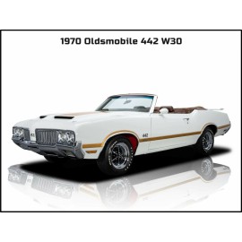 1970 Oldsmobile 442 W30 NEW Metal Sign: LARGE SIZE - Great Restoration